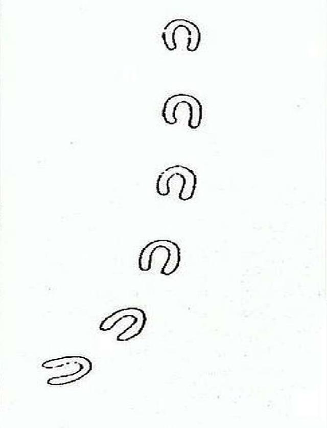 12個至今只發生過一次的詭異事件，現代科學家想破頭也解不出原因