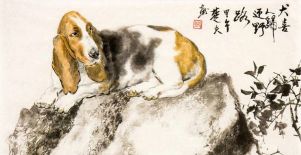 這6年出生的生肖，2019年上半年四海有貴人，八方來財運！