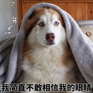 租女友回家過年卻懷孕了！