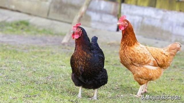 10個冷知識：愛說「隨便」和「怎麼都行」的人，要求往往更高