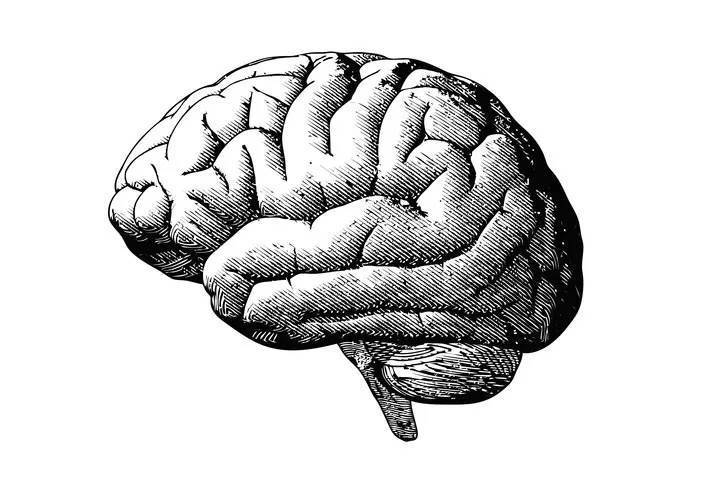 20個乍聽很扯但卻真到不能再真的驚奇科學事實！