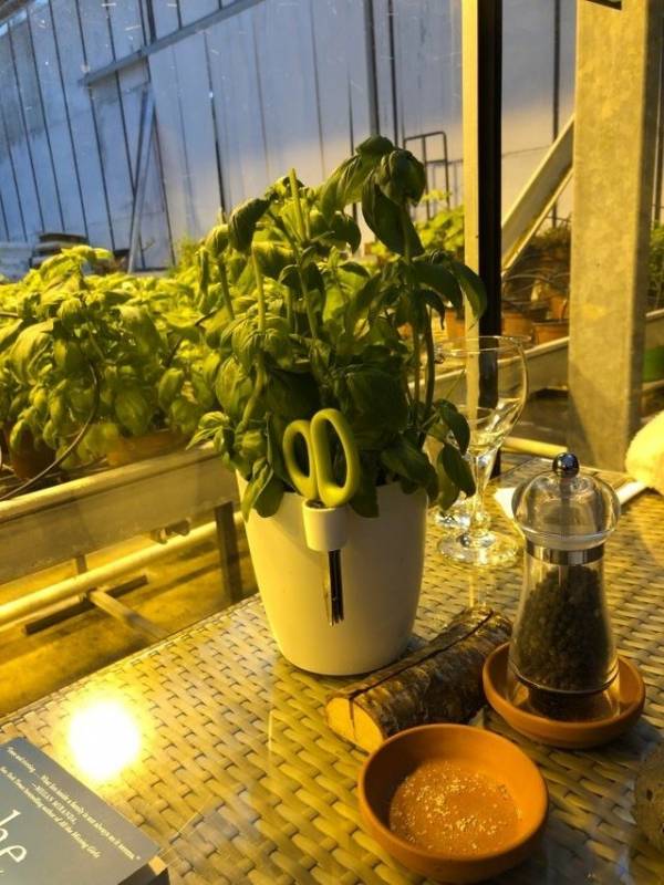 17家已經「進化到3019年」的超聰明餐廳　只要按鈕店員就會「說故事」給你聽！