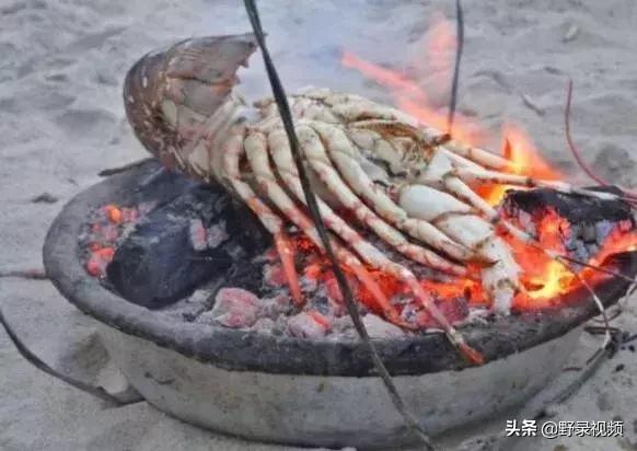 窮人吃龍蝦度日？在非洲鮑魚竟不如一把青菜值錢！