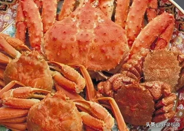 窮人吃龍蝦度日？在非洲鮑魚竟不如一把青菜值錢！