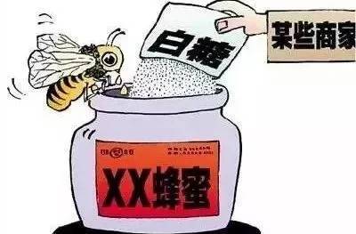 良心記者揭露蜂蜜市場驚天騙局！親赴深山，發現土蜂蜜驚人真相！