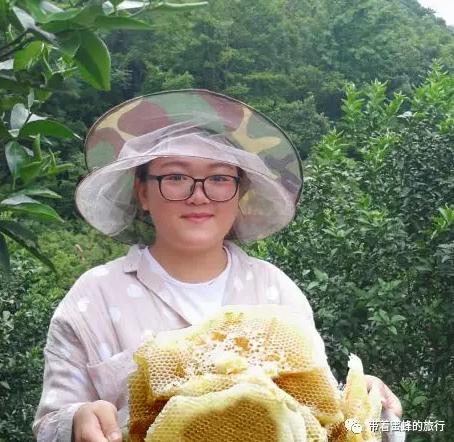良心記者揭露蜂蜜市場驚天騙局！親赴深山，發現土蜂蜜驚人真相！