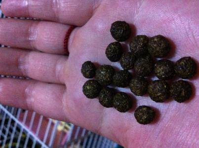 4種「 天然肥」，陽台盆栽蔬菜不用愁，花盆埋一些，葉子綠又大