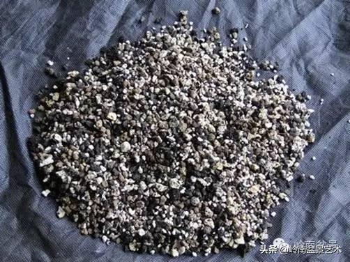 他山之石丨國外經典盆景設計製作全過程