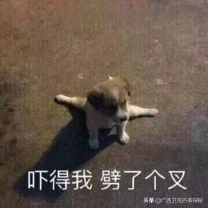 筋長一寸，壽延十年？重慶103歲奶奶皮膚白皙，筋骨軟如嬰兒！