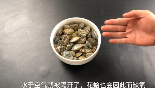 洗花蛤沙子越洗越多！用這2個小方法，花蛤吐沙又快又徹底！ 
