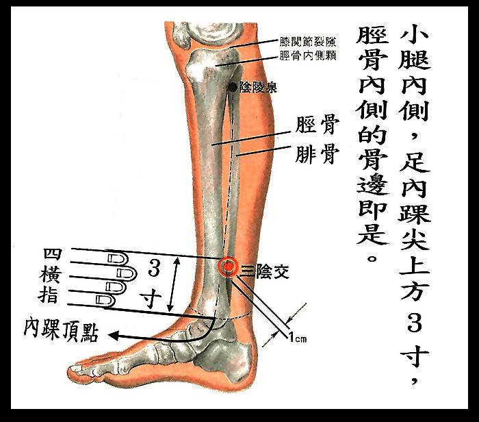 有一個穴位，讓女性終身不老！！！