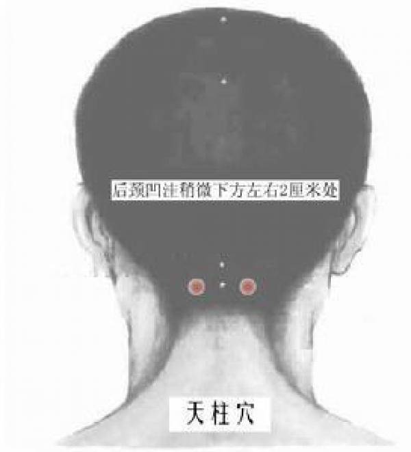 高血壓的急救穴，為了身邊的家人和朋友，所有都應該看一下這篇