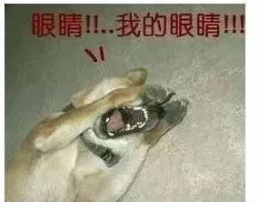 拿電視機當顯示器為什麼不靠譜？還可能瞎眼！