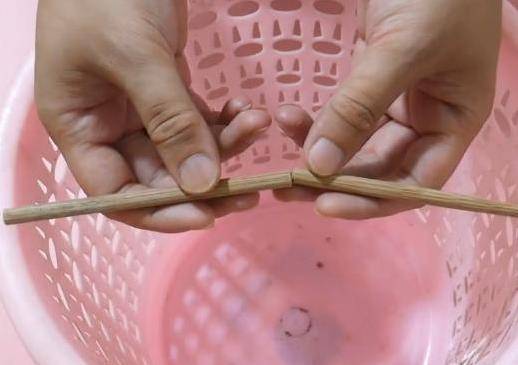 垃圾桶上一定要放一隻筷子，這個妙招太棒了，後悔今天才知道