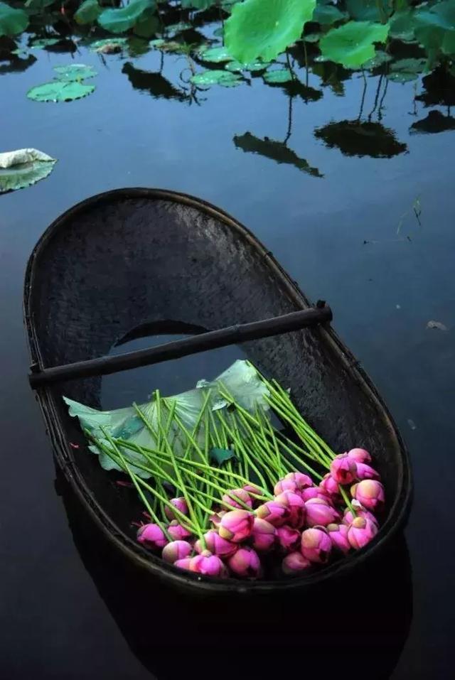 眼寬容景，心寬容事 每日正能量