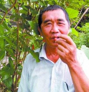 患上腎結石，不需開刀，用金錢草煲水 ，就能排腎結石 !