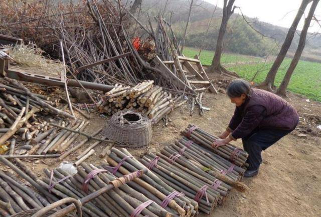 老母親去世，8個兒子回來爭家產，最小孫子親奶奶一口，大家蒙了