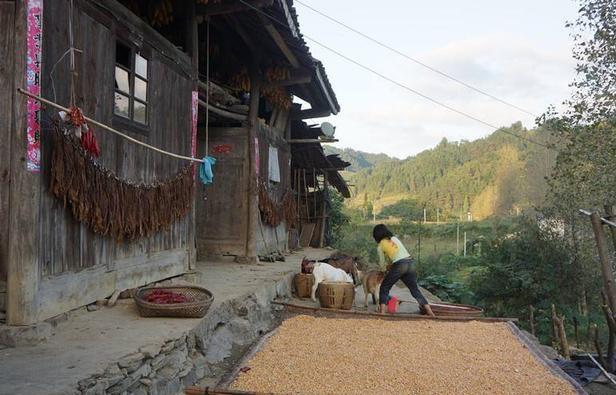 女兒遠嫁窮小子，父親和她賭氣7年沒見面，他卻不知女兒早已去世