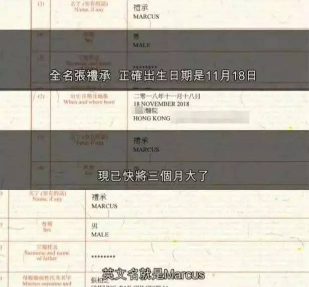 張柏芝新任男友終於露面？二人恩愛照曝光男方長這樣！