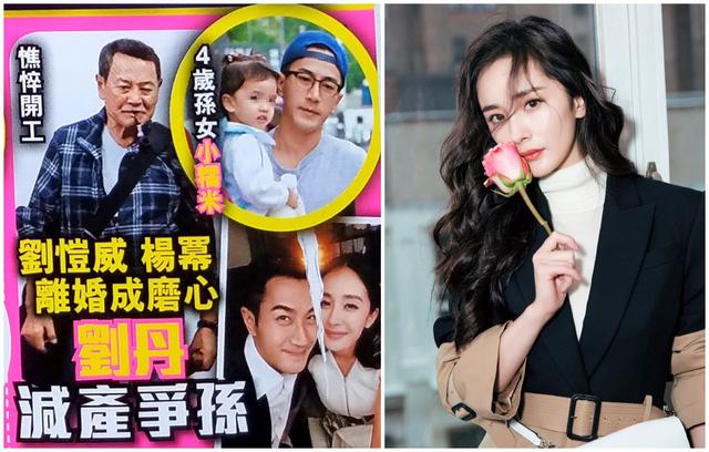 楊冪一周二次抵港極不尋常，知情人曝欲爭小糯米撫養權？