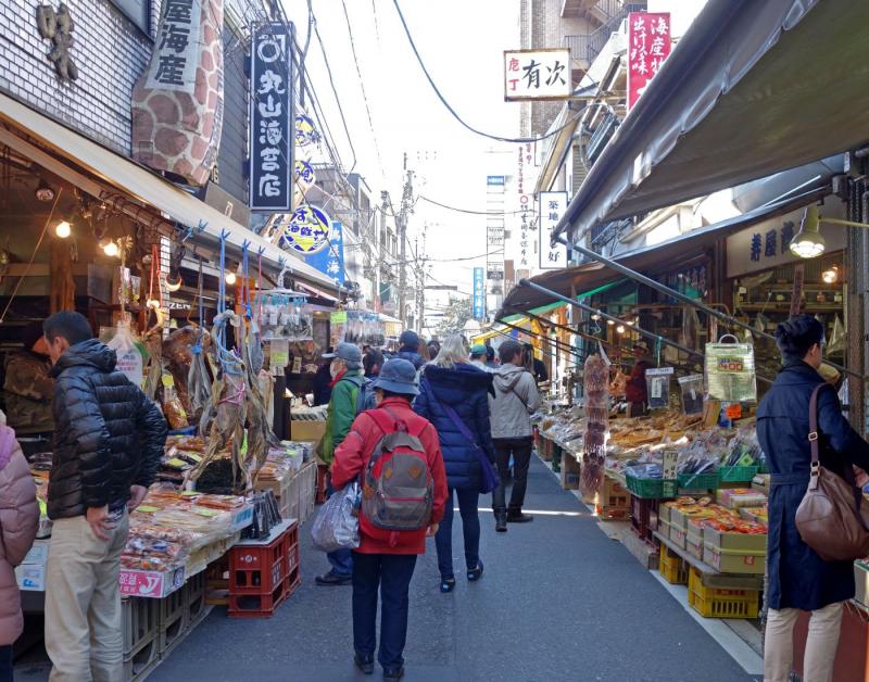 【2019日本自由行】暢玩日本東京5天4夜！5000元跑遍所有熱門景點