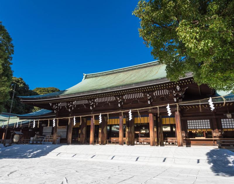 【2019日本自由行】暢玩日本東京5天4夜！5000元跑遍所有熱門景點