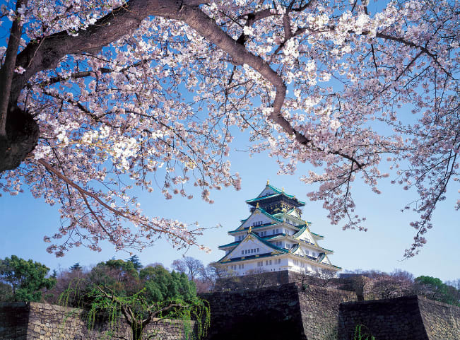 【2019櫻花季】四天三夜日本大阪櫻花自由行，交通、行程、景點…一次搞定！