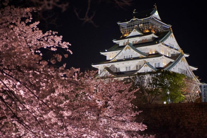 【2019櫻花季】四天三夜日本大阪櫻花自由行，交通、行程、景點…一次搞定！