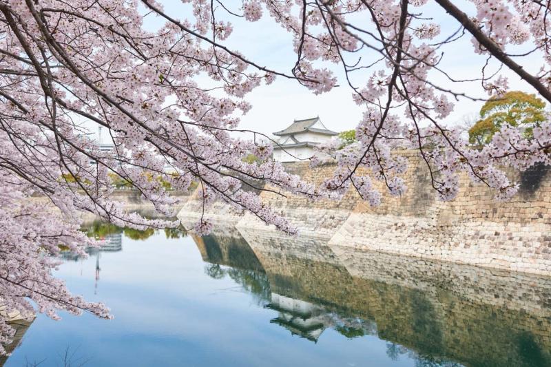 【2019櫻花季】四天三夜日本大阪櫻花自由行，交通、行程、景點…一次搞定！