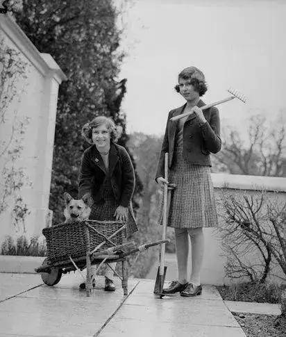 英國女王寵愛柯基70年，這次真的要告別了，再見，一輩子的老朋友