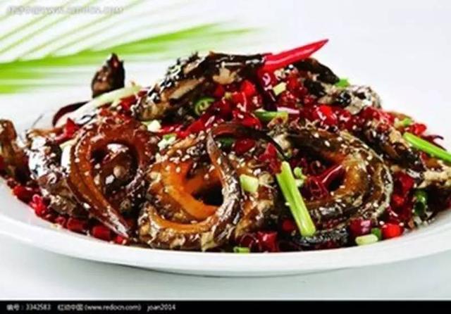 12道爆燈的菜品，旺銷不需要理由！