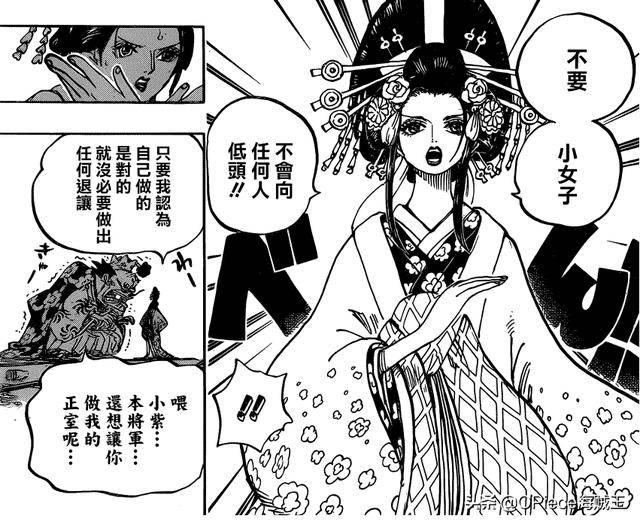 《海賊王》「武士之女」小紫「下線」真相，是否有隱藏陰謀？
