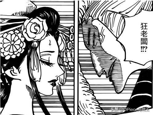 《海賊王》「武士之女」小紫「下線」真相，是否有隱藏陰謀？