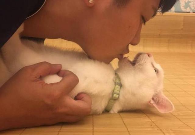 貓咪討厭的十件事：和天敵狗狗相比，它們更不喜歡第一個動物