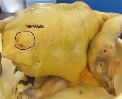 這5種肉再香也不能吃，含有的病菌和毒素特別多！