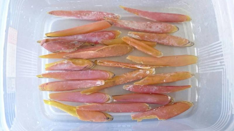 驚人事實！國王企鵝每年「嘴都會掉下來」　動物園：搜集滿滿一盒 