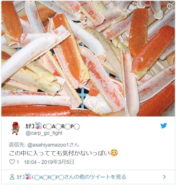 驚人事實！國王企鵝每年「嘴都會掉下來」　動物園：搜集滿滿一盒 