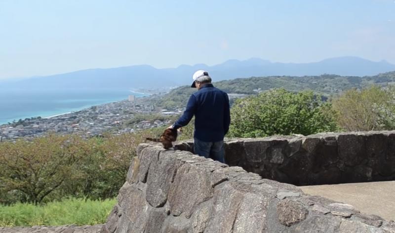 肉喵7年來一直陪主人登山，一張「淡定登頂照」讓牠成為人氣貓，紅到連拍照都要排隊！