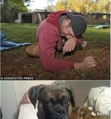 狗不嫌家貧你若不離不棄，它必生死相依！