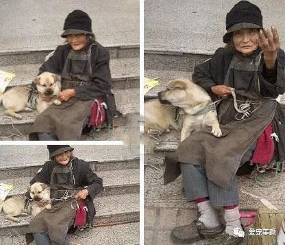 狗不嫌家貧你若不離不棄，它必生死相依！