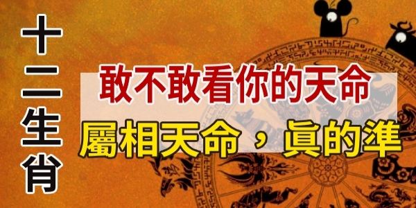 你屬什麼天命，就是什麼！