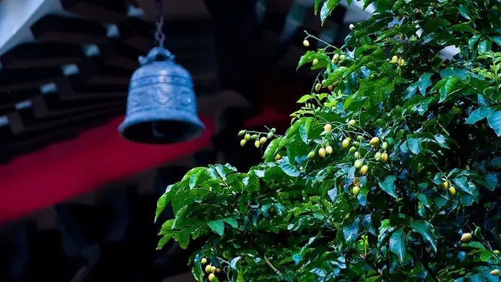人死後去陰間的全過程，看醒了很多人！