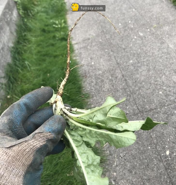 25張詮釋「''完美''到底是什麼概念」的超完美舒壓圖！ - 幾米長城 - 娛樂分享區