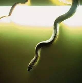 這 七 個 夢 境 居 然 是 發 財 、好 運 來 臨 的 前 兆，沒 幾 個 人 知 道 ....