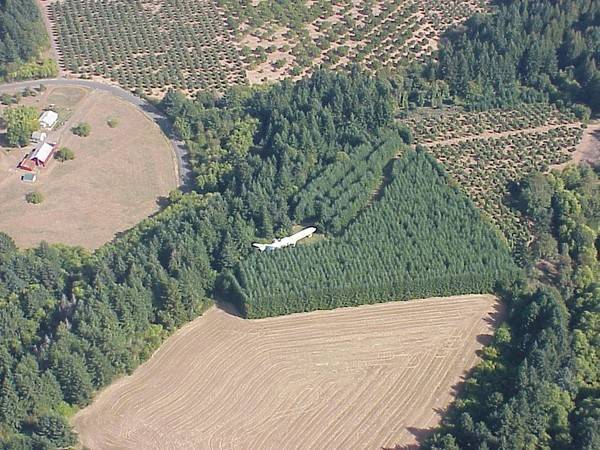 超狂爺爺「砸300萬買噴射機」一住20年　內裝成豪宅得意：沒房子比這更安全 - 爆新聞