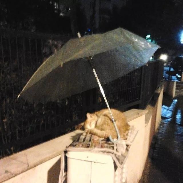 18張溫馨又正能量爆棚的照片及其背後的故事，告訴你這個世界依舊是一個充滿愛的世界！