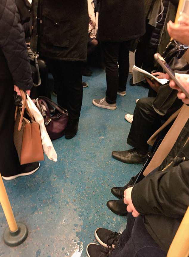 「愛心車廂」沒人要讓位！導盲犬「不小心滑倒」無助看主人：對不起我找不到...