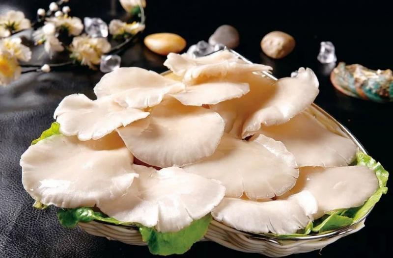 別把蘑菇的營養都浪費了！不同蘑菇的做法，趕緊收藏