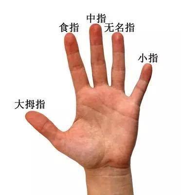 10個你沒聽過的冷知識：人閉上眼睛不能走直線，不信你試試