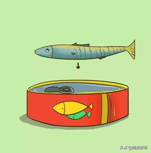 哪些海魚儘量少吃？魚可不是吃得越多就越聰明，關鍵是要吃對